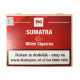 Сигари T&G Selection Sumatra Wilde Cigarros (Суматра) 50 шт