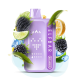 Одноразка ELF BAR BC 45000 Blackberry Lemonade 5% (Чорничний лимонад) Одноразка ELF BAR BC 45000 Blackberry Lemonade 5% (Чорничний лимонад)